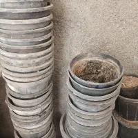 گل دانه پلاستیکی