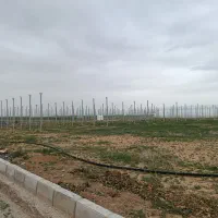 زمین گلخانه شهرک آقامیرزایی کوریجان