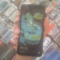 y7 2019