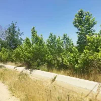 فروش باغ دونبش مرکز شهر بیضا،آزادراه اصفهان شیراز