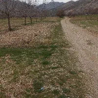 زمین ۱۰۰ متری