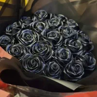 گل رز روبانی