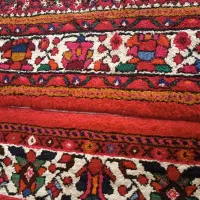 فرش دست بافت 6متری