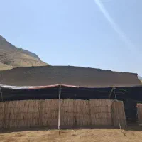 سیاه چادر