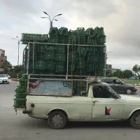 .سبد میوه .