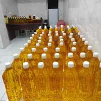 روغن کنجد و افتاب پرس سرد دایان