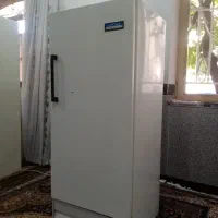 یخچال عادی مارک ارج