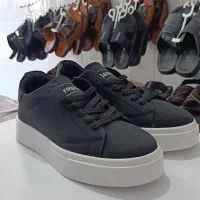 ونس برشکا