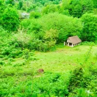 7600-متر-زمین-جنگلی-با-3000-متر-مسکونی-دست-اول