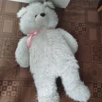 خرس بزرگ