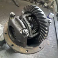 کله گاوی پیکان