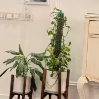 گلدان