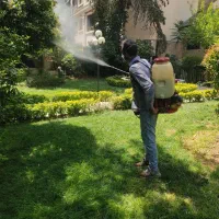 امور باغبانی کودهی هرسکاری چمن زنی تعویض خاک گلدان