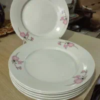 یک دست پلو‌خوری