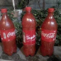 رب  تازه