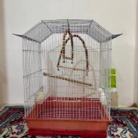 قفس پرنده