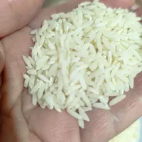 برنج طارم