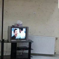 تلویزیون