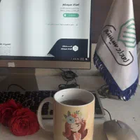 کارآموز حوزه فناوری / کامپیوتر / it