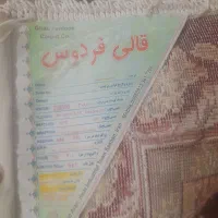 فرش‌۱۲متری|فرش|خان ببین, |دیوار