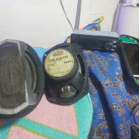 ظبط وباند سالم به شرط