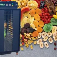 تضمین کیفیت خشک کن میوه سبزی مدل 2002 دیجیتال