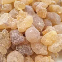 ادامس کندر اعلاء