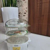 بخار پز همیلتون