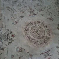 دوتا فرش سالم