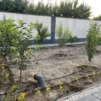 باغ-ویلا-نقلی