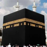 فروش فیش عمره