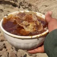 فروش عسل مستقیم از زنبوردار