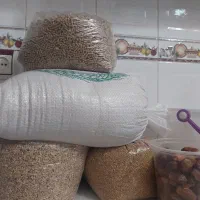 سبوس گندم ارزن دان پارس برای کبوتر مرغ جوجه پرنده