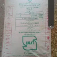کود سفید