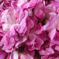 گل محمدی خشک صد گرمی صدهزار