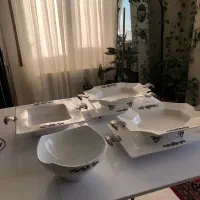 ظروف چینی دسته سیلور
