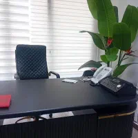 آقا  جهت مراقبت از بیمار آقا