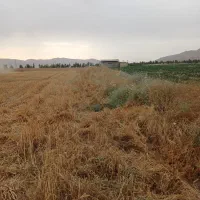فروش زمین در ابعاد36در28ونیم