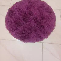 پادری گرد کاملا سالم بدون سر خوردن