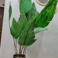 گل های غول پیکر کار دست