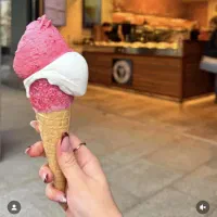 نیرو و کارآموزجهت کار در تریابستنی/طوقچی