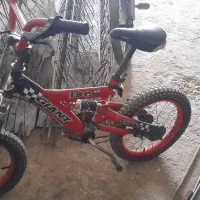دوچرخه یا تک چ