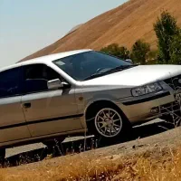 سمندعروسک 84