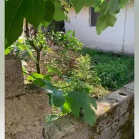 زمین مسکونی