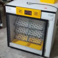 دستگاه جوجه کشی
