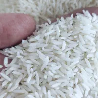 پخش عمده و خرده برنج هاشمی