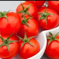 نهال توت فرنگی،گوجه ترخون، نعناع ،اطلسی ،رز هلندی