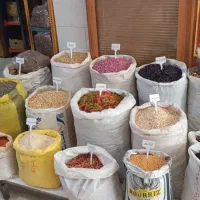 پخش عمده مریم گلی و پر سیاوشان و بادرنجبویه و غیره