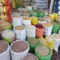 فروش عمده حبوبات پاک شده قیمت دست اول