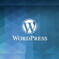 طراحی سایت حرفه ای  و اختصاصی افزایش و فروش دیده